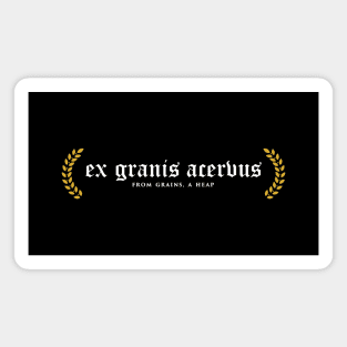 Ex Granis Acervus - From Grains, A Heap Magnet